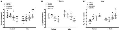 A2 Adenosine Receptors Mediate Whole-Body Insulin Sensitivity in a Prediabetes Animal Model: Primary Effects on Skeletal Muscle